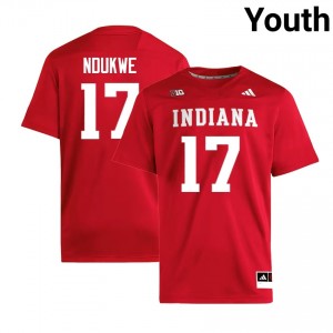 Daniel Ndukwe Indiana Hoosiers #17 College Football Youth High School Jersey - Crimson