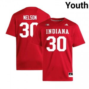 PJ Nelson The Hoosier State #30 College Football Youth Alumni Jerseys - Crimson